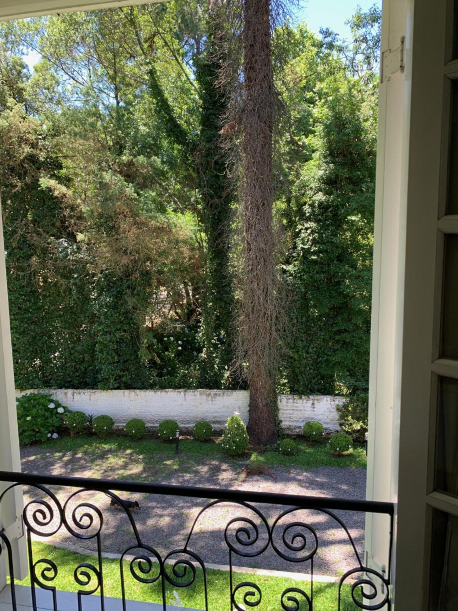 Hotel E Spa Provencal Canela Exterior photo